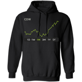 CDW Stock 1m Pullover Hoodie