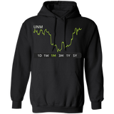 UNM Stock 1m Pullover Hoodie
