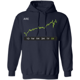 ARE Stock 5y Pullover Hoodie
