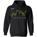 HUM Stock 3m Pullover Hoodie