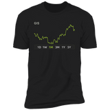 GIS Stock 1m Premium T-Shirt