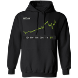 WDAY Stock 5y Pullover Hoodie