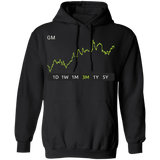 GM Stock 3m Pullover Hoodie