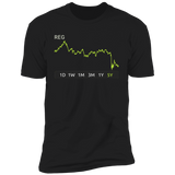 REG Stock 5y Premium T Shirt