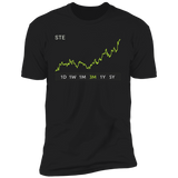 STE Stock 3m Premium T Shirt