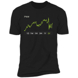PNW Stock 5y Premium T Shirt