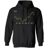 GIS Stock 1m Pullover Hoodie