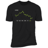 UNM Stock 5y Premium T Shirt